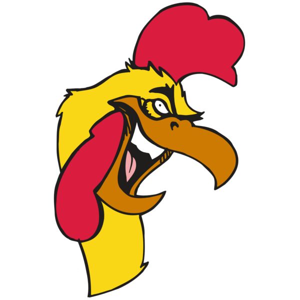 AR5 Gamecock 08 RQC Thumbnail